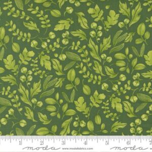 WILD BLOSSOMS fabric by Robin Pickens for Moda Fabrics