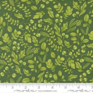 WILD BLOSSOMS fabric by Robin Pickens for Moda Fabrics