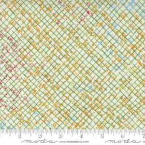 WILD BLOSSOMS fabric by Robin Pickens for Moda Fabrics