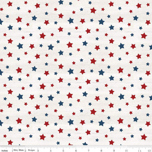 MONTHLY PLACEMATS fabric panel by Tara Reed for Riley Blake (Patriotic)
