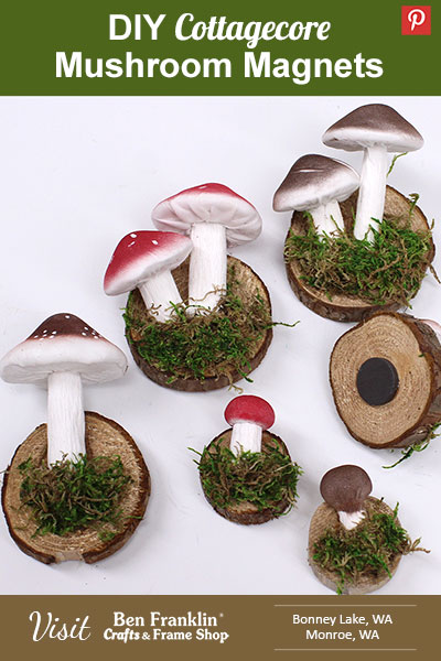 DIY Cottagecore Mushroom Magnets PIN