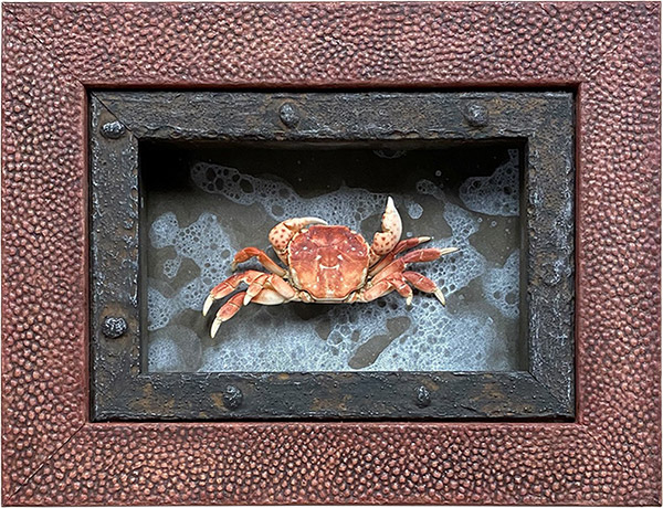 Custom Frame for Crab