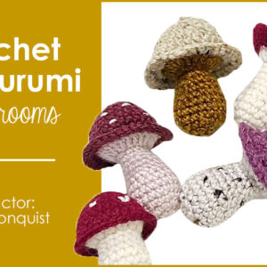 Crochet Amigurumi class