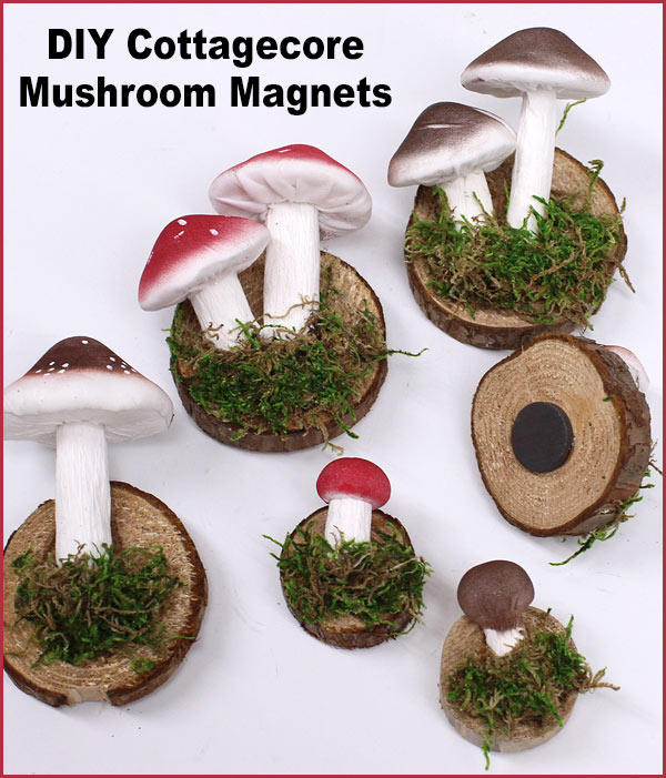 DIY Mushroom Magnets