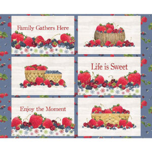 MONTHLY PLACEMATS fabric panel (June) by Tara Reed for Riley Blake