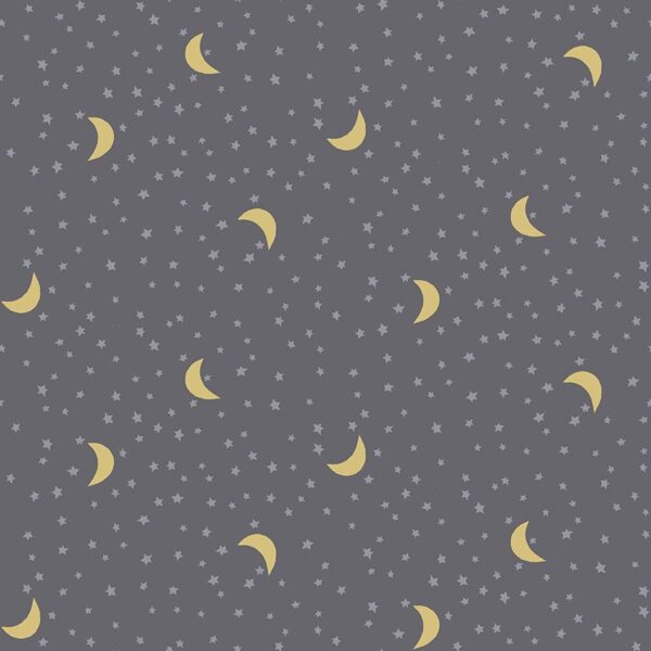 NOAH'S ARK fabric by Paint Love Studio for Dear Stella Design