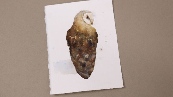 Watercolor Painting Class