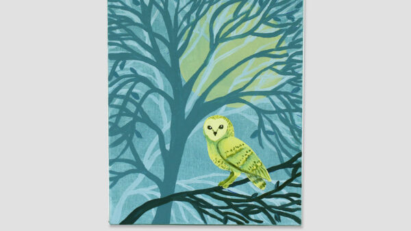Acrylic Painting, Owl (Class)