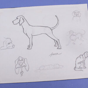 Drawing Class: Dogs