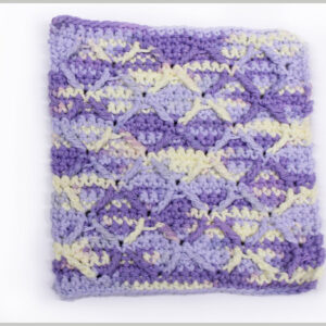 Crochet Dishcloth class