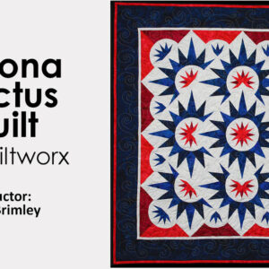 Class: Arizona Cactus Quilt by Quiltworx