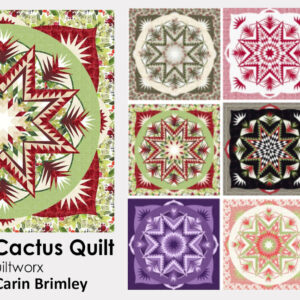 Class: Christmas Cactus Quilt by Quiltworx