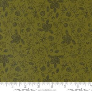 THE GREAT OUTDOORS Fabric by Stacy lest Hsu for Moda Fabrics