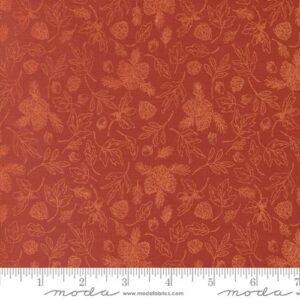 THE GREAT OUTDOORS Fabric by Stacy lest Hsu for Moda Fabrics