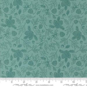 THE GREAT OUTDOORS Fabric by Stacy lest Hsu for Moda Fabrics