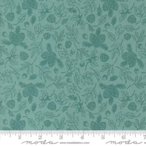 THE GREAT OUTDOORS Fabric by Stacy lest Hsu for Moda Fabrics