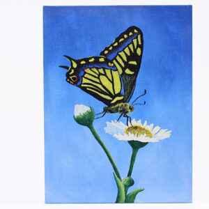 Acrylic Painting Class "Butterfly", Ben Franklin Crafts and Frame Shop, Bonney Lake, WA