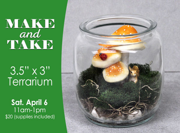 Make and Take Terrarium at Ben Franklin in Bonney Lake