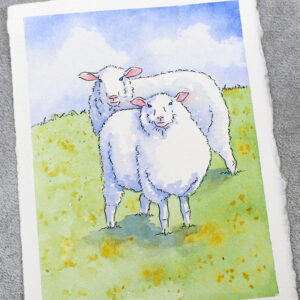 Watercolor Class: Sheep