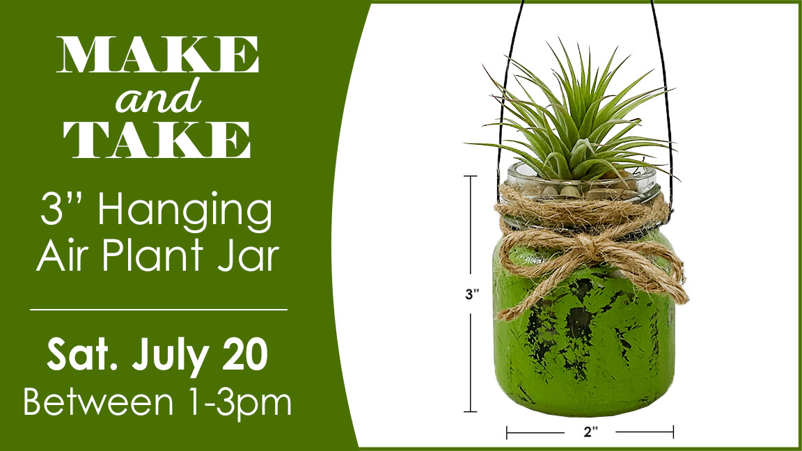 Make and Take a Air Plant Jar on July 20