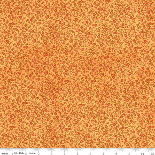 PUMPKIN PATCH fabric by Janet W for Riley Blake