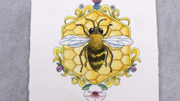 Watercolor painting class: Honey Bee
