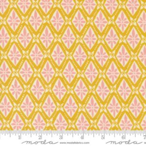 TANGO fabric by Kate Spain for Moda Fabrics
