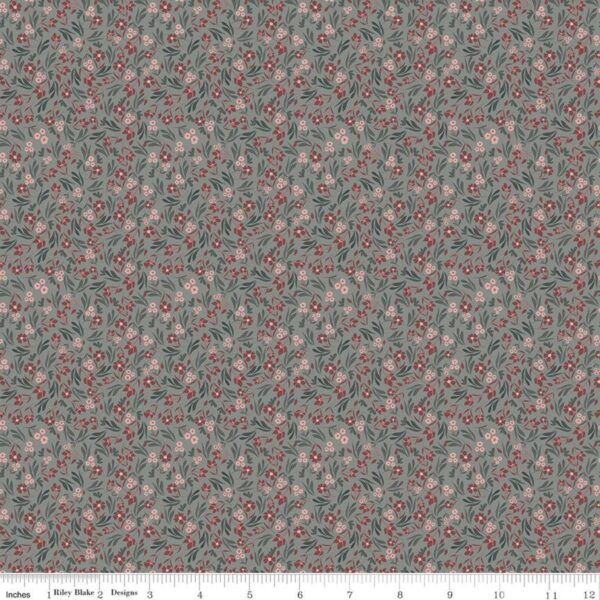 A WALK ON THE PRAIRIE fabric by Melissa Gilbert for Riley Blake Designs
