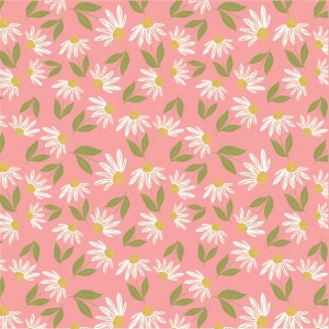 CALICO COWGIRLS fabric by Lori Woods for Poppie Cotton