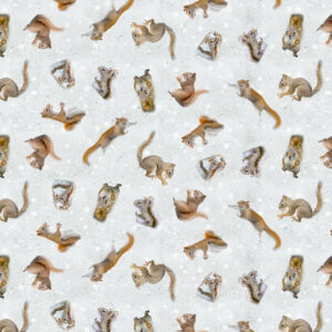 THE SECRET LIFE OF SQUIRRELS II fabric by Nancy Rose for Clothworks
