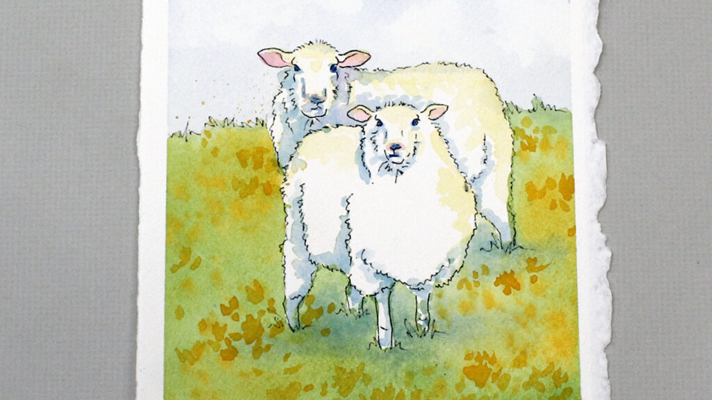 Watercolor Painting Class: Sheep