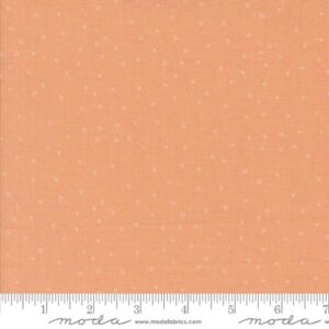 RAINIER fabric by Jessica Rose for Moda Fabrics | 38149 21