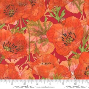SUPERBLOOM fabric by Robin Pickens for Moda Fabrics - 48781 23