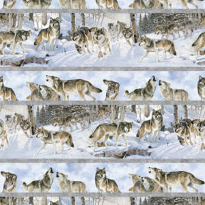 WILD AT HEART fabric by Al Agnew for Northcott Fabrics - DP28191-42