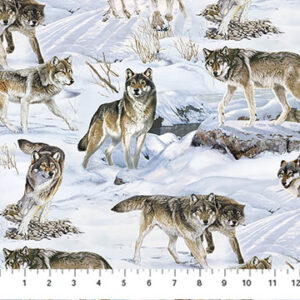 WILD AT HEART fabric by Al Agnew for Northcott Fabrics - DP28192-42