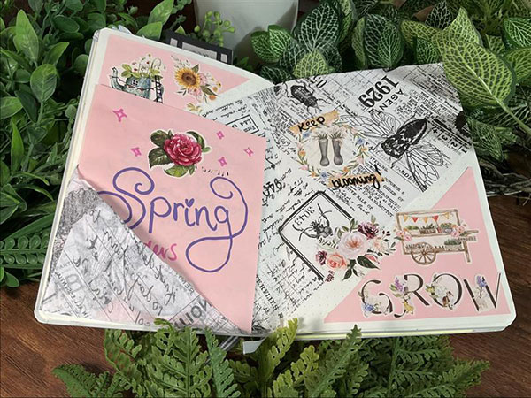 Bullet Journal vs Junk Journal