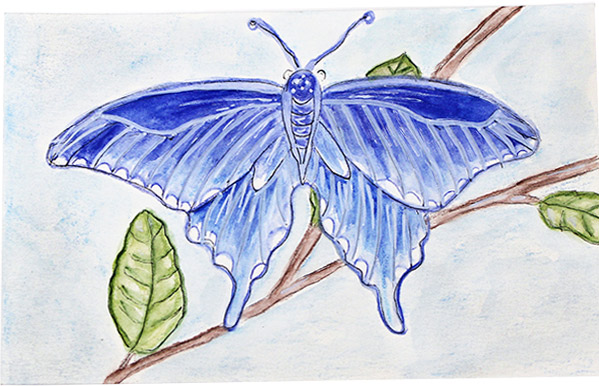 Watercolor Painting Butterfly