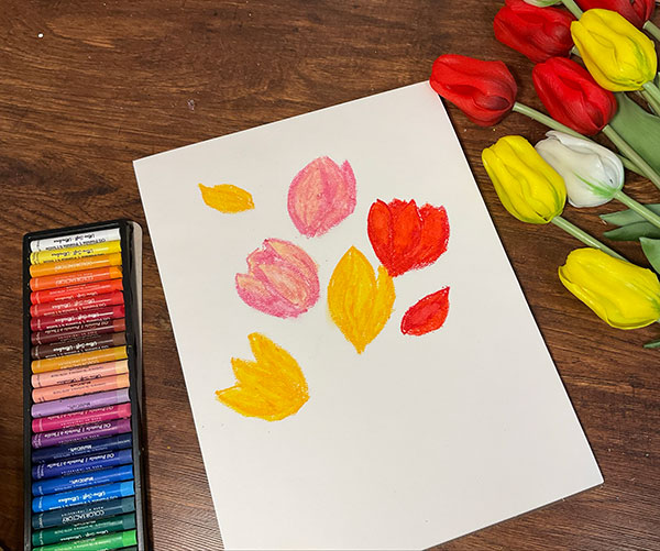 How to paint tulips with oil pastel - step 1