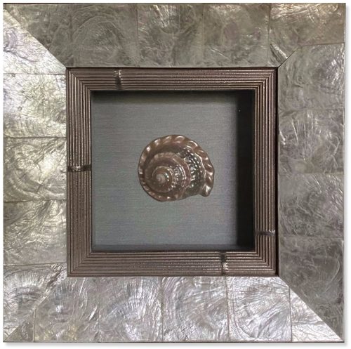 Custom Framed Antique Shell